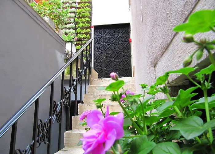 Borelli Palace & Borelli Blue דירה זאדאר